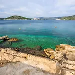 Rogulj